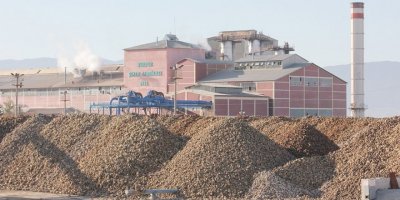 Gölhisar’da şeker pancarı hasatı başladı