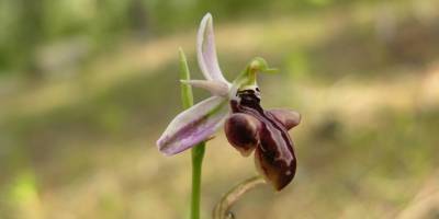 Araştırmacılardan kötü haber !