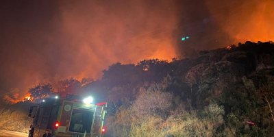 Bodrum'da makilik yangını; 5 dönüm zarar gördü