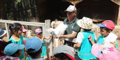 Büyükşehir Belediyesi Hayvanat Bahçesi'ne yoğun ilgi