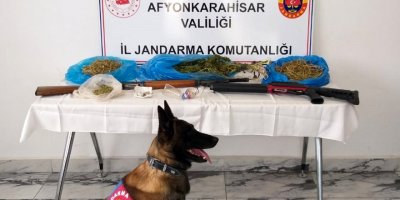Jandarmadan Uyuşturucu Operasyonları