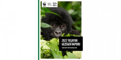 'omurgalı Türlerin Popülasyonu Yüzde 69 Azaldı'