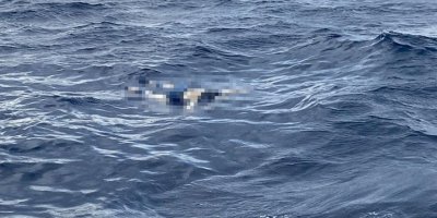 Denizde Erkek Cesedi Bulundu