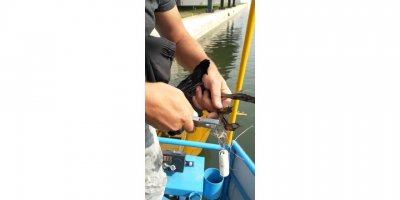 Misinaya Takılan Sakarmeke Kuşunu Kurtardı