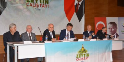 Manavgat'ta Zeytin Çalıştayı Düzenlendi