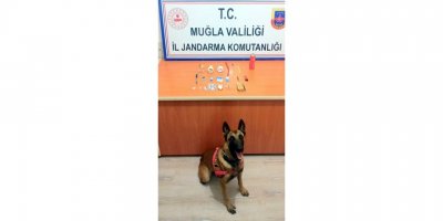 Otomobildeki uyuşturucuyu narkotik köpeği 'Mendil' buldu