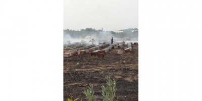 Otluk alandaki arı kovanları yandı