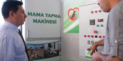 Belediyeden sokak hayvanları için mama üretimi