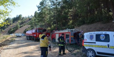 Korkuteli'de orman yangını