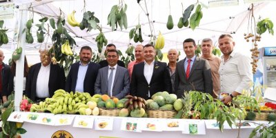 Alanya Tropikal Meyve Festivali düzenlendi