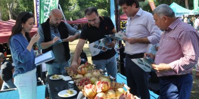 Çekirdeksiz Nar ve Tropikal Meyve Festivali yarışmalarla devam etti