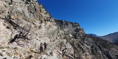Manavgat yangınına direnen tarihi kervan yolunu, tomruk araçları tahrip etti