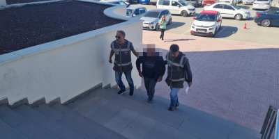 Tavuklarına saldıran köpekleri zehirleyerek öldürdü, serbest kaldı