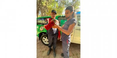 Yaralı baykuşu jandarma kurtardı