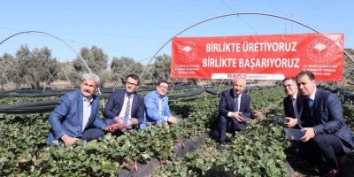 Çilek projesi büyümeye devam ediyor