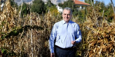 Konyaaltı örnek oldu, fasulyede üretim arttı