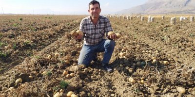 Korkuteli'de patates hasadı sona erdi