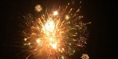 ‘Kuşları öldüren havai fişekler yasaklansın’ kampanyası