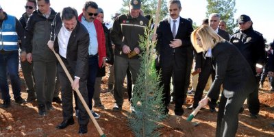 Muğla'da 250 bin fidan toprakla buluştu