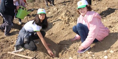 Bucak'ta fidanlar toprakla buluştu