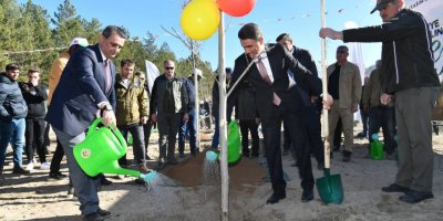 Isparta'da 14 bin 500 fidan dikildi