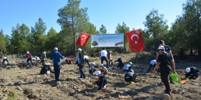 Korkuteli fidan dikti