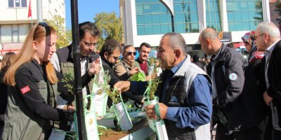 Bucak'ta 7 bin fidan 15 dakikada dağıtıldı