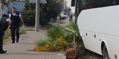 Alman turistler, yara almadan kurtuldu