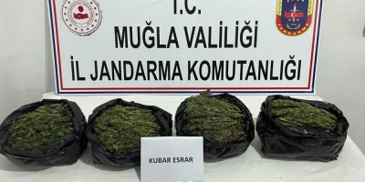 Muğla'da uyuşturucu operasyonu: 2 gözaltı