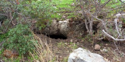 Muğla'da kaçak tarihi eser kazısına suçüstü