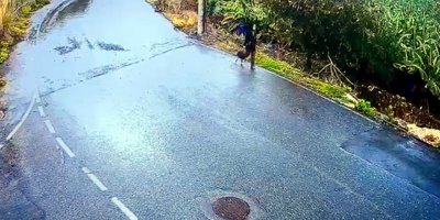 Kayıp Seda Nur, 4 gündür aranıyor