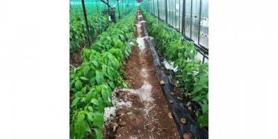 Antalya'da kuvvetli yağmur; deniz kahverengi oldu (3)