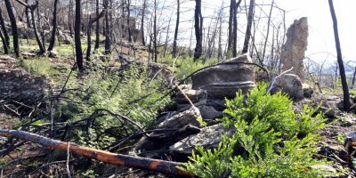 Yanan ağaçları keserken antik kentteki eserlere zarar veren firmaya suç duyurusu