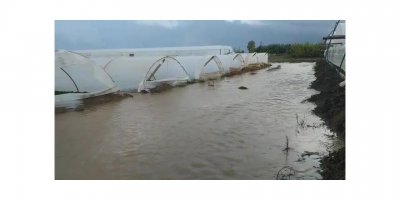Serik'te sağanak; çilek seraları su altında kaldı