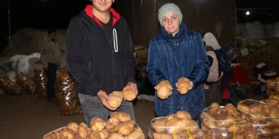 Sandıklı patatesi, mağara depolardan satışta