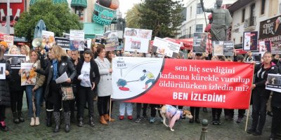 Sokak hayvanlarına şiddet protesto edildi