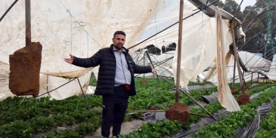 Serik'teki hortumda serası yıkılan üretici: 4 dönümü yerle bir etti