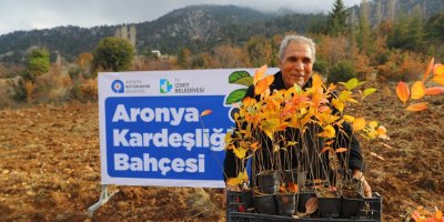 Antalya ile İzmit'in 'aronya' kardeşliği