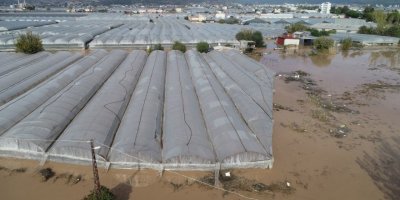 Sel felaketinin yaşandığı Kumluca'da hale giren ürün, yüzde 90 azaldı