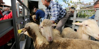 Muğla'da kadın üreticilere destek