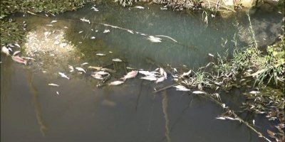 Çevreyi kirleten otelin müdürüne 4 yıl 2 ay hapis