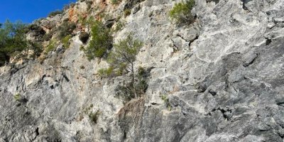 Balık tutarken kayalıktan düşerek hayatını kaybetti