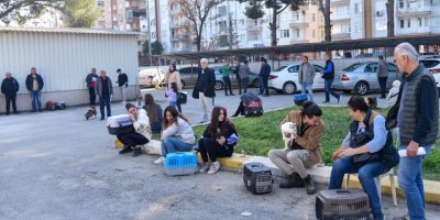 Evcil hayvan sahiplerinin 'çip taktırma’ sırası