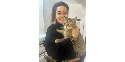 Kedi, asma tavanı çökertti; iş yeri sahibi, ‘diyeti bozmuş’ dedi