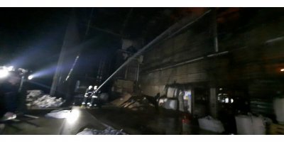 Milas'ta balık yemi fabrikasında yangın