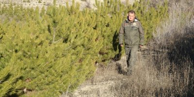 Ormancılardan kaçak çam kesimine karşı nöbet