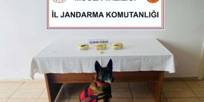 Üzerinde 1 kilo uyuşturucuyla yakalanan sürücü gözaltına alındı