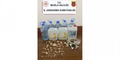 Sahte içki, uyuşturucu ve tarihi eser ele geçirildi; 1 gözaltı