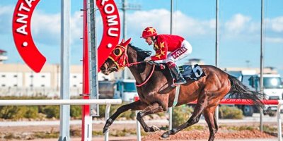 Vali Koşusu, salı günü koşulacak