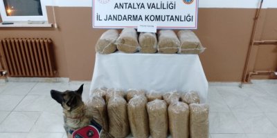 Tütün kaçakçılığına 'Zarif' engeli